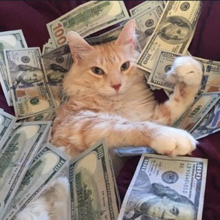 Telegram profile photo for zzzzzzzzzzzzzzzzzzz