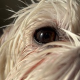 Telegram profile photo for π·β€πππ«π//ππππ