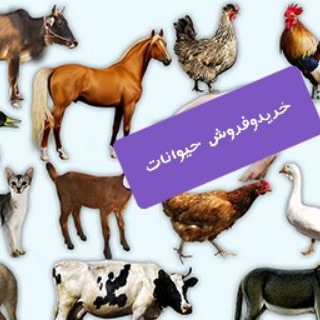 Telegram profile photo for خریدوفروش حیوانات