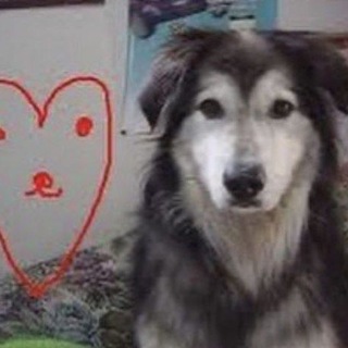Telegram profile photo for Дагешстан