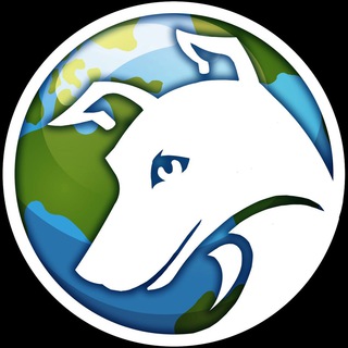 Telegram group profile photo for Laika🚫Don't Buy,Pls⚠️