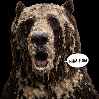 Telegram profile photo for Dawgostan chat memes
