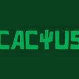 Telegram profile photo for Бонусы казино Кактус - промокоды Cactus Casino | DESERT425