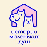 Telegram profile photo for Истории маленьких душ