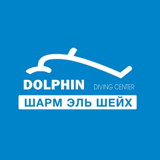 Telegram profile photo for Dolphin Diving Center Sharm el Sheikh
