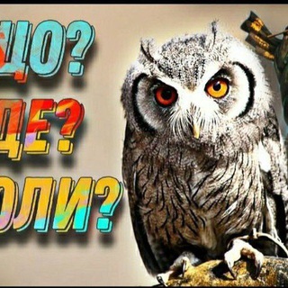 Telegram profile photo for Що?Де?Коли?ЮА