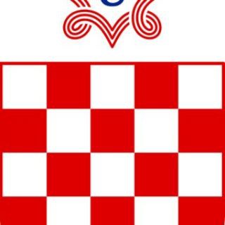 Telegram profile photo for Hrvatski Tigar