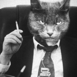 Telegram profile photo for максонамнао