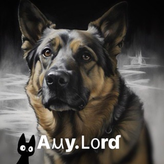 Telegram profile photo for Aⲙy.𑀉᧐rɗ