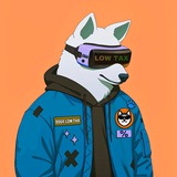 Telegram profile photo for 🐶DOGECHAIN LOW TAX🐶