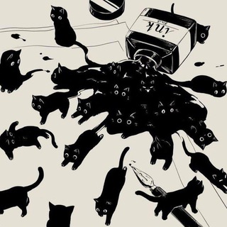 Telegram profile photo for why you should have a cat