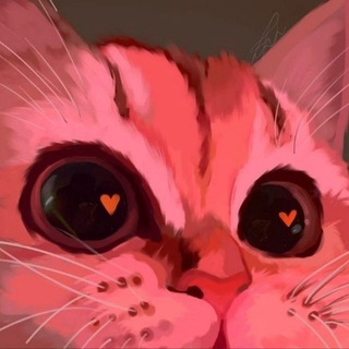 Telegram profile photo for ππͺππ²ππͺπ | π³πππ