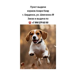 Telegram profile photo for Корм ACARI CIAR Бердянск Мелитополь