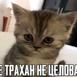 Telegram profile photo for отзывы @useroexeo