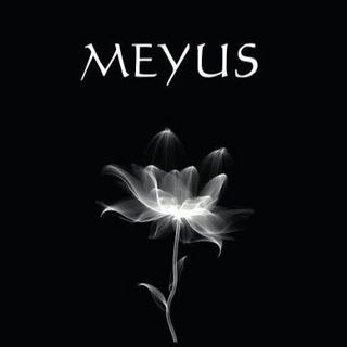 Telegram profile photo for MeYuS