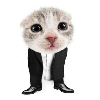 Telegram profile photo for PiRaTiK |