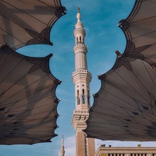 Telegram profile photo for لطائف الشيخ الشنقيطي