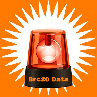 Telegram profile photo for Brc20data🚨Alarm🚨