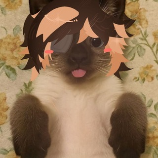 Telegram profile photo for тэгэкэ
