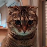 Telegram profile photo for Соня и Валя