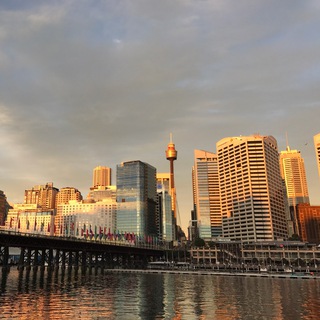 Telegram profile photo for Sydney every day