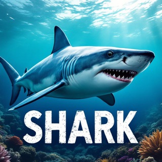 Telegram profile photo for 🦈SHARK GIFTS🦈