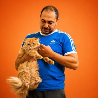Telegram profile photo for قناة الكاتب د. عمرو كامل عمر