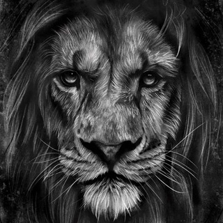 Telegram profile photo for Comunidad de Traders