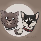 Telegram profile photo for Отзывы majors_doggy🐾