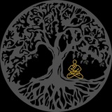 Telegram profile photo for Serenity Token Portal