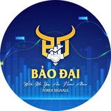 Telegram profile photo for Channel - Bảo Đại Forex Signals 💰