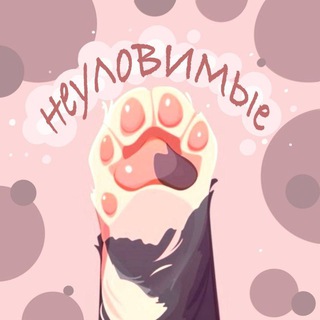 Telegram profile photo for Cosband «Elusive Heart Thieves»