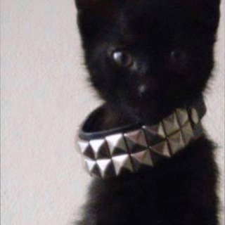 Telegram profile photo for mät/??171