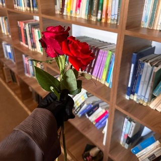 Telegram profile photo for - سُـوَيداءُ الـقَلـبّ .