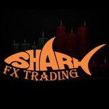 Telegram profile photo for SHARK Fx ( Public )