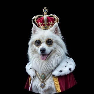 Telegram profile photo for Alaska Coin