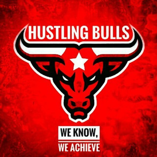 Telegram profile photo for HUSTLING BULLS™💎
