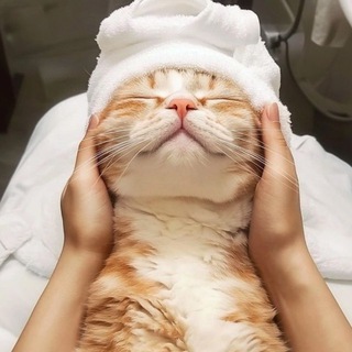 Telegram profile photo for Марина • Массаж лица Крд