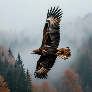 Telegram profile photo for 🌎В дикой природе | природа | животные | красивые пейзажи | интересные факты
