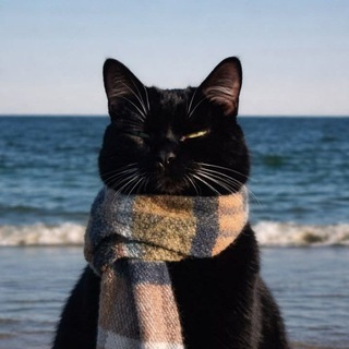 Telegram profile photo for чилийская белка🌙