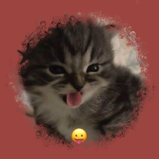 Telegram profile photo for Клубничные десантники