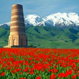 Telegram profile photo for Кыргызская Республика страна небесных гор
