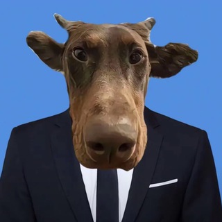 Telegram profile photo for 帅的-助贷贷款🥇