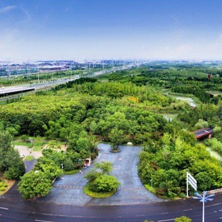 Telegram profile photo for 常州新龙生态林 🌳