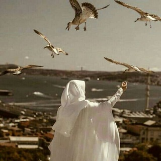 Telegram profile photo for بِشِهَابٍ قَبَسٍ.