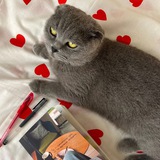 Telegram profile photo for тепло и уютно💛