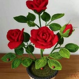 Telegram profile photo for گل باف 🌵🌹