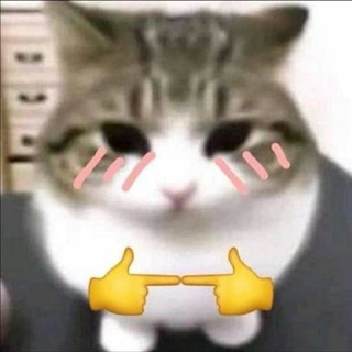 Telegram profile photo for percepted