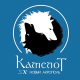 Telegram profile photo for Камелот 🏰 Детская студия