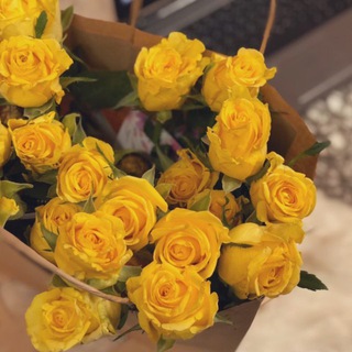 Telegram profile photo for خديجه 💛🌱 .